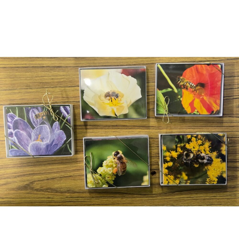 Five Boxes of Blank Notecards with Bees (12 to a box, 60 cards total)
